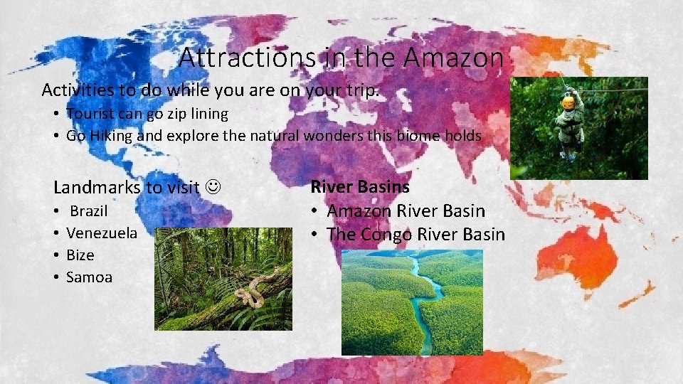Attractions in the Amazon Activities to do while you are on your trip. •