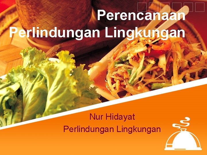 Perencanaan Perlindungan Lingkungan Nur Hidayat Perlindungan Lingkungan 