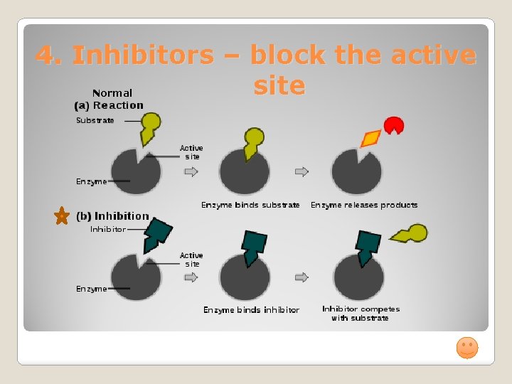 4. Inhibitors – block the active site Normal 