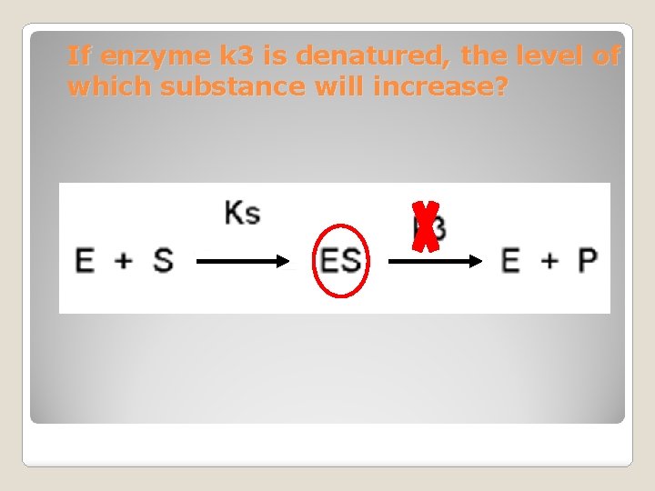 If enzyme k 3 is denatured, the level of which substance will increase? 