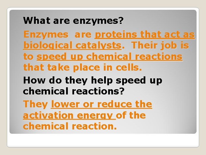 What are enzymes? Enzymes are proteins that act as biological catalysts. Their job is