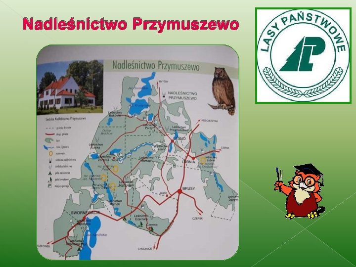 Nadleśnictwo Przymuszewo 