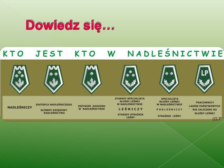 Dowiedz się… 