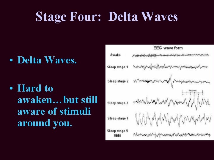 Stage Four: Delta Waves • Delta Waves. • Hard to awaken…but still aware of Stage Four: Delta Waves • Delta Waves. • Hard to awaken…but still aware of