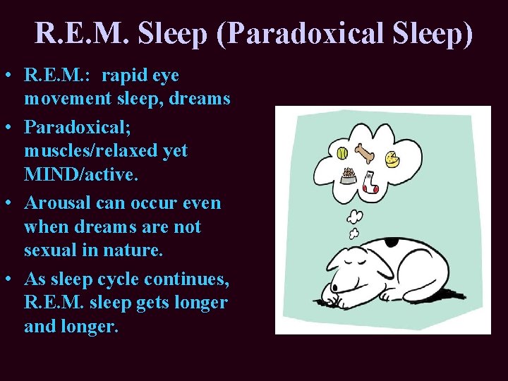 R. E. M. Sleep (Paradoxical Sleep) • R. E. M. : rapid eye movement R. E. M. Sleep (Paradoxical Sleep) • R. E. M. : rapid eye movement
