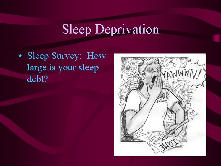 Sleep Deprivation • Sleep Survey: How large is your sleep debt? Sleep Deprivation • Sleep Survey: How large is your sleep debt?