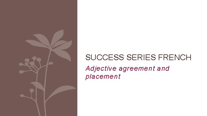 SUCCESS SERIES FRENCH Adjective agreement and placement 1