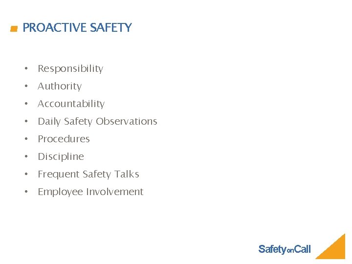 PROACTIVE SAFETY • Responsibility • Authority • Accountability • Daily Safety Observations • Procedures