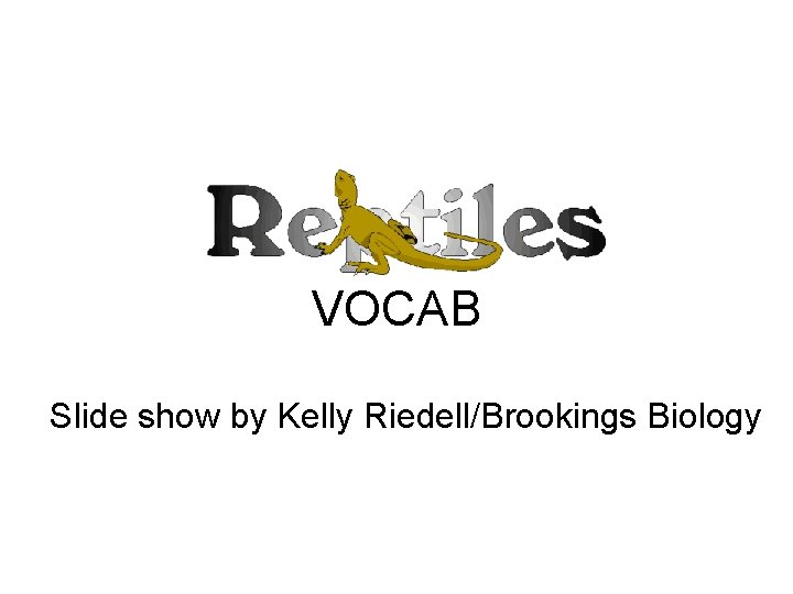 VOCAB Slide show by Kelly Riedell/Brookings Biology 