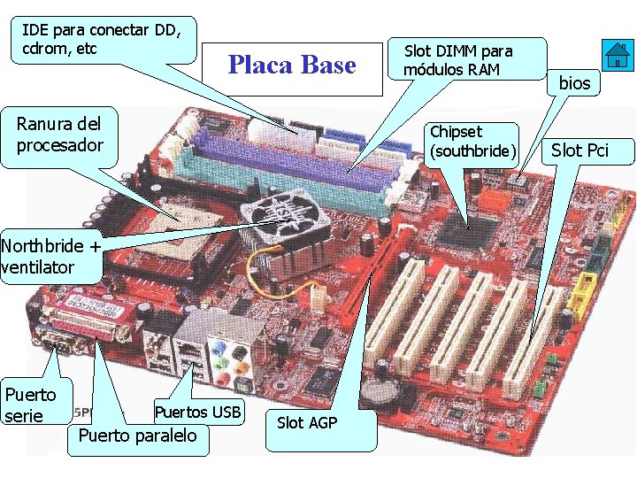 IDE para conectar DD, cdrom, etc Placa Base Ranura del procesador Chipset (southbride) Northbride