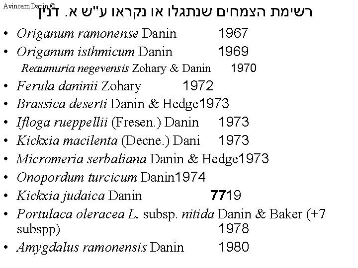 דנין. רשימת הצמחים שנתגלו או נקראו ע"ש א Avinoam Danin © • Origanum