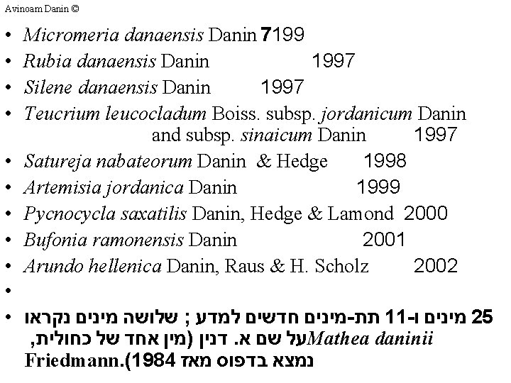 Avinoam Danin © • • Micromeria danaensis Danin 7199 Rubia danaensis Danin 1997 Silene