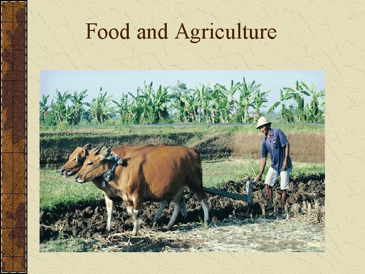 Food and Agriculture 