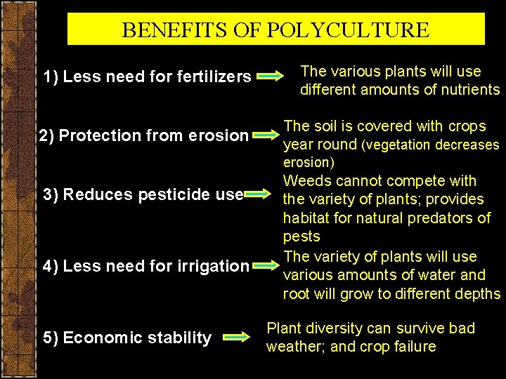 BENEFITS OF POLYCULTURE 1) Less need for fertilizers The various plants will use different
