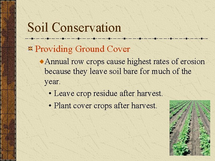 Soil Conservation Providing Ground Cover Annual row crops cause highest rates of erosion because