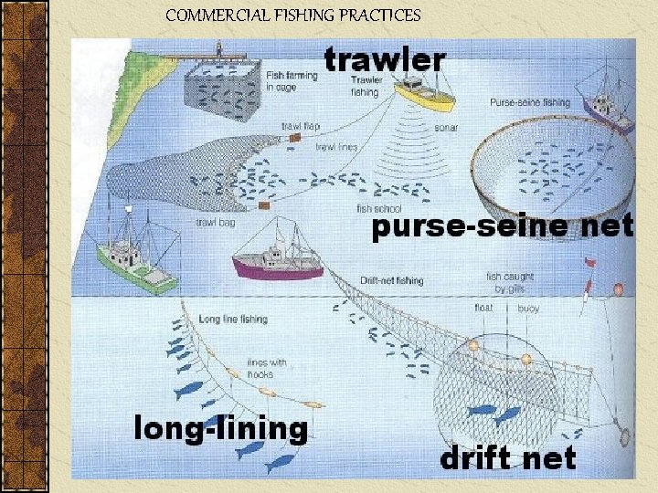 COMMERCIAL FISHING PRACTICES 