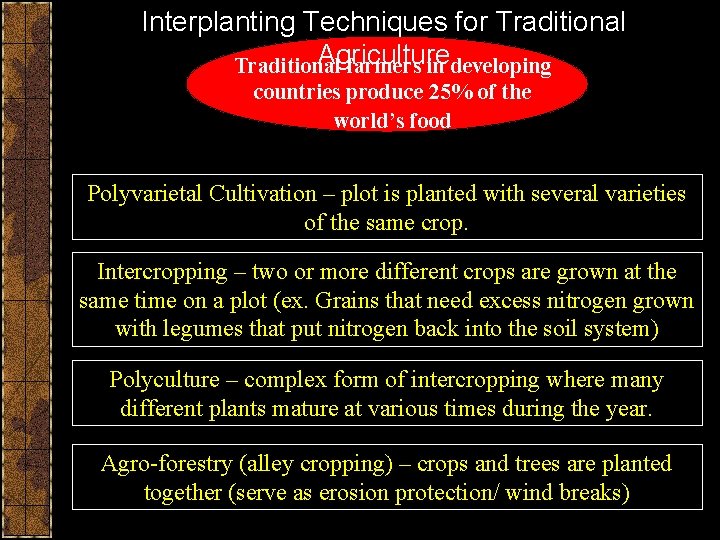 Interplanting Techniques for Traditional Agriculture Traditional farmers in developing countries produce 25% of the