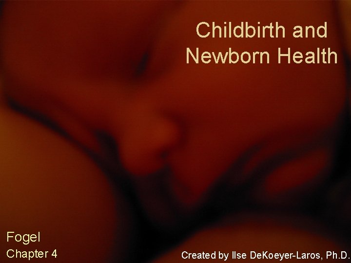 Childbirth and Newborn Health Fogel Chapter 4 Created by Ilse De. Koeyer-Laros, Ph. D.