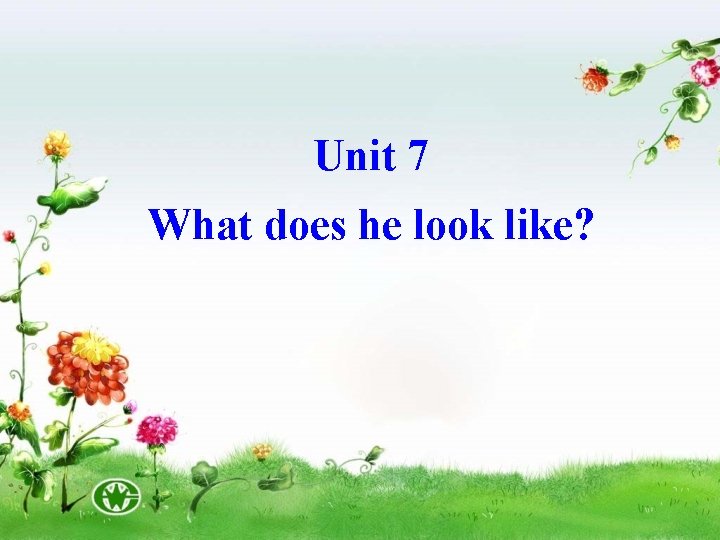 Unit 7 What does he look like? 