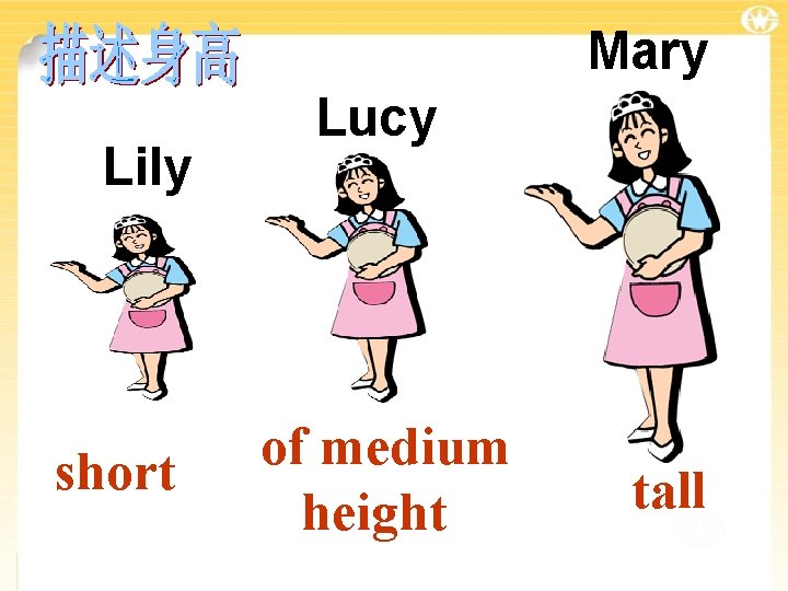 Mary Lily short Lucy of medium height tall 