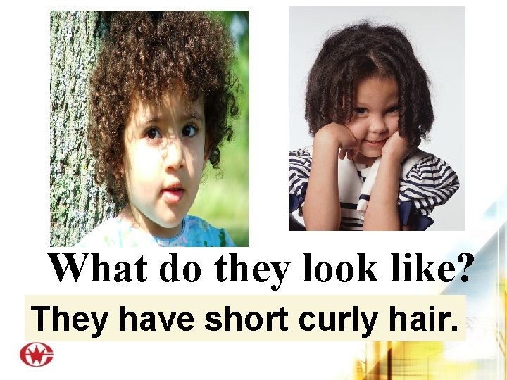 What do they look like? They have short curly hair. 