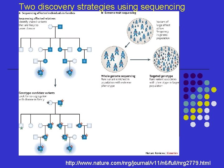 Two discovery strategies using sequencing http: //www. nature. com/nrg/journal/v 11/n 6/full/nrg 2779. html 