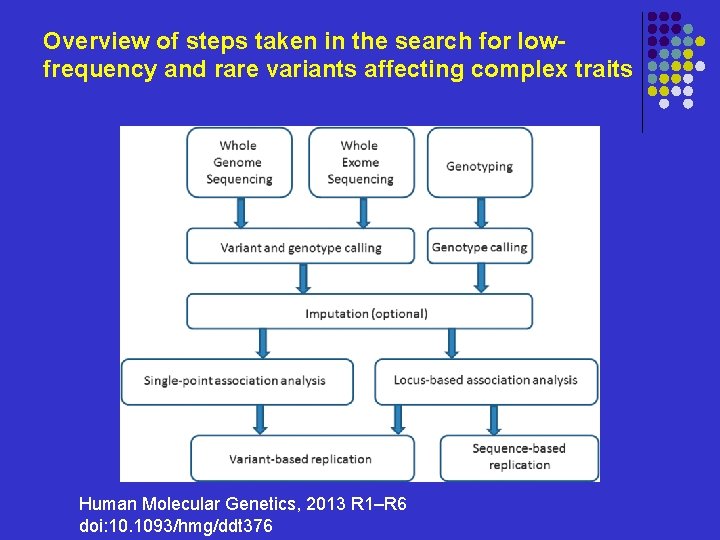 Overview of steps taken in the search for lowfrequency and rare variants affecting complex