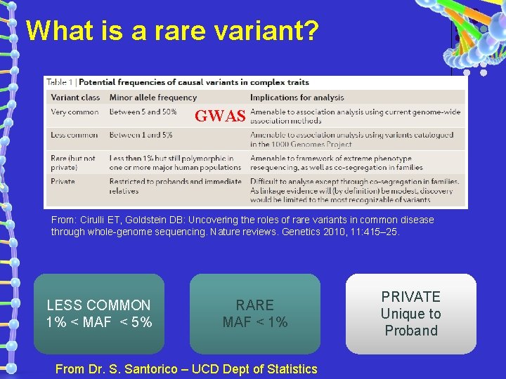 What is a rare variant? GWAS From: Cirulli ET, Goldstein DB: Uncovering the roles