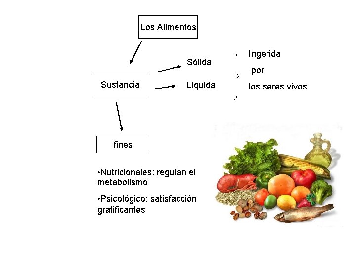 Los Alimentos Sólida Sustancia Liquida fines • Nutricionales: regulan el metabolismo • Psicológico: satisfacción