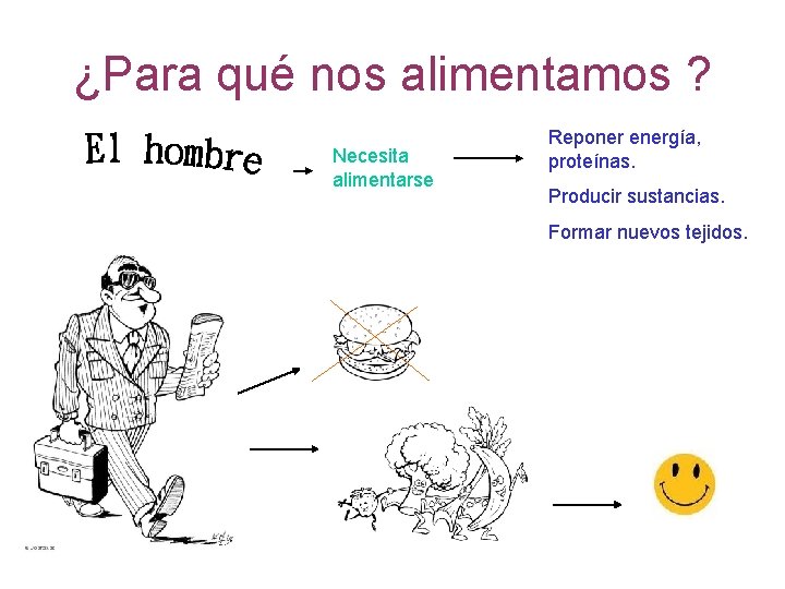 ¿Para qué nos alimentamos ? Necesita alimentarse Reponer energía, proteínas. Producir sustancias. Formar nuevos