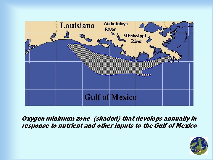 Oxygen minimum zone (shaded) that develops annually in response to nutrient and other inputs