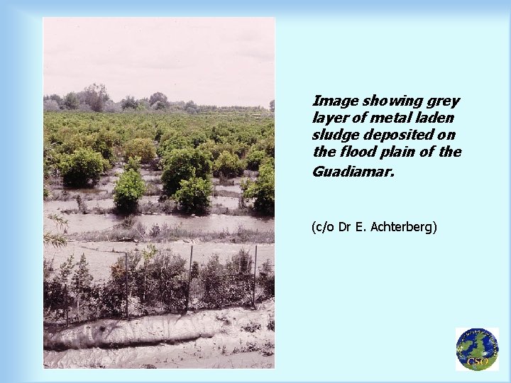 Image showing grey layer of metal laden sludge deposited on the flood plain of