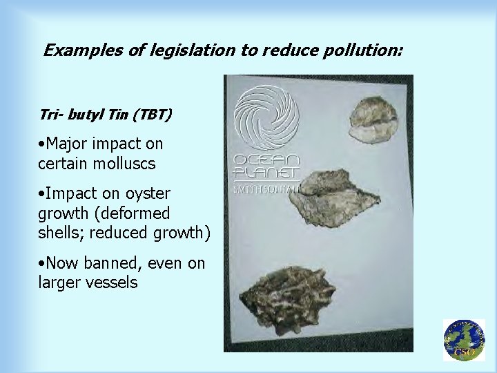 Examples of legislation to reduce pollution: Tri- butyl Tin (TBT) • Major impact on