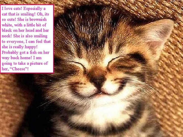 I love cats! Especially a cat that is smiling! Oh, its so cute! She
