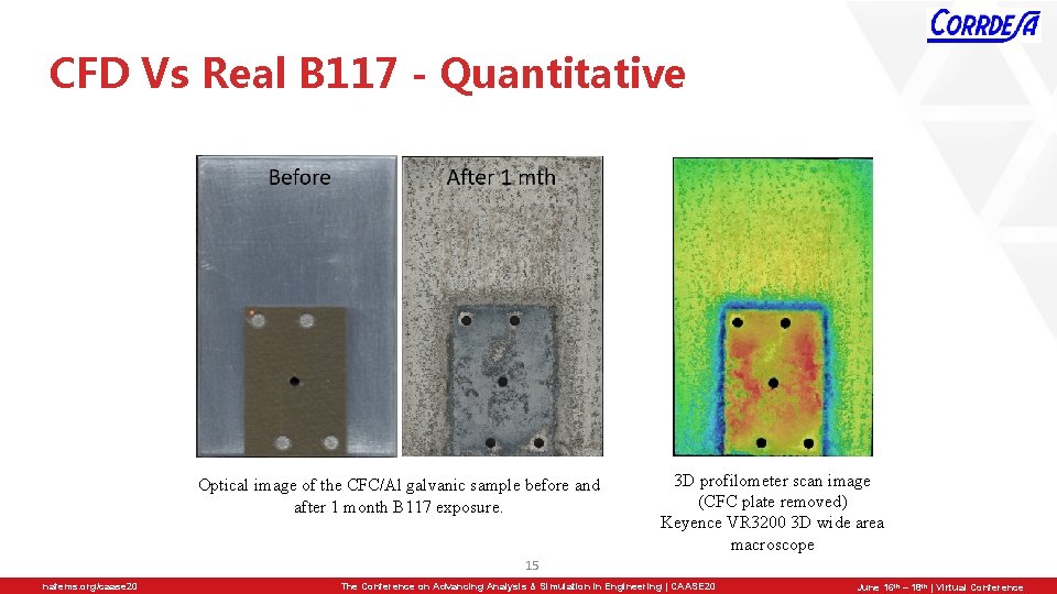 CFD Vs Real B 117 - Quantitative Optical image of the CFC/Al galvanic sample