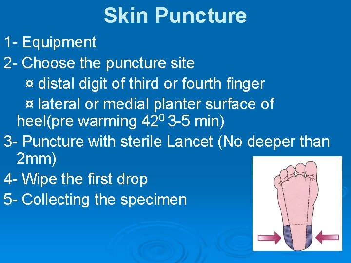 Skin Puncture 1 - Equipment 2 - Choose the puncture site ¤ distal digit