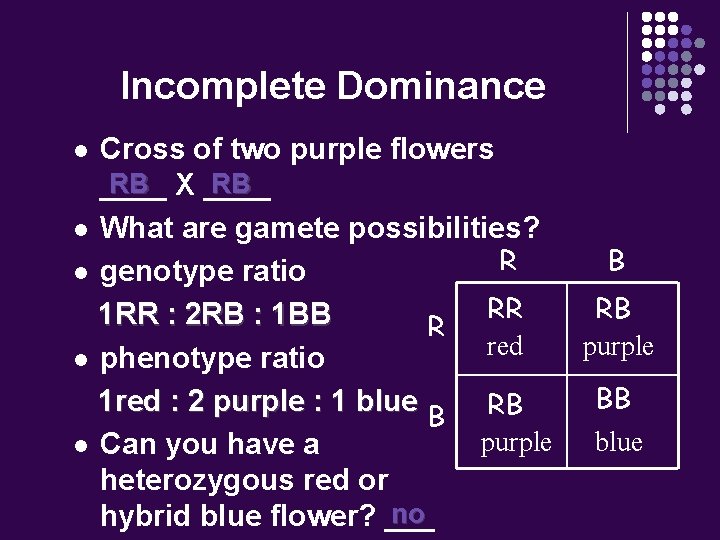 Incomplete Dominance Cross of two purple flowers RB X ____ RB ____ l What