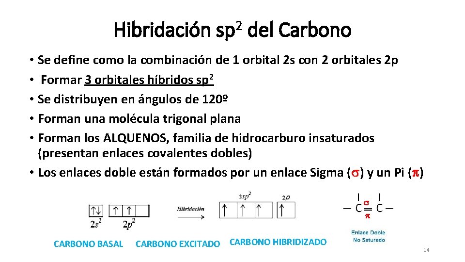 Hibridación sp 2 del Carbono • Se define como la combinación de 1 orbital