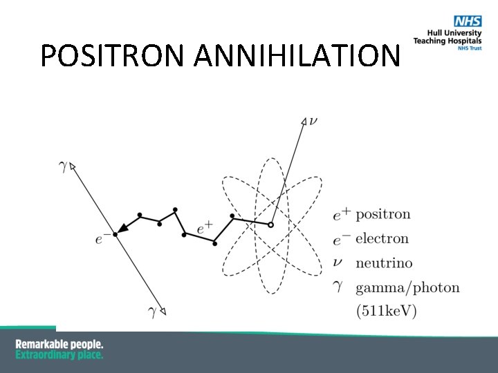 POSITRON ANNIHILATION 