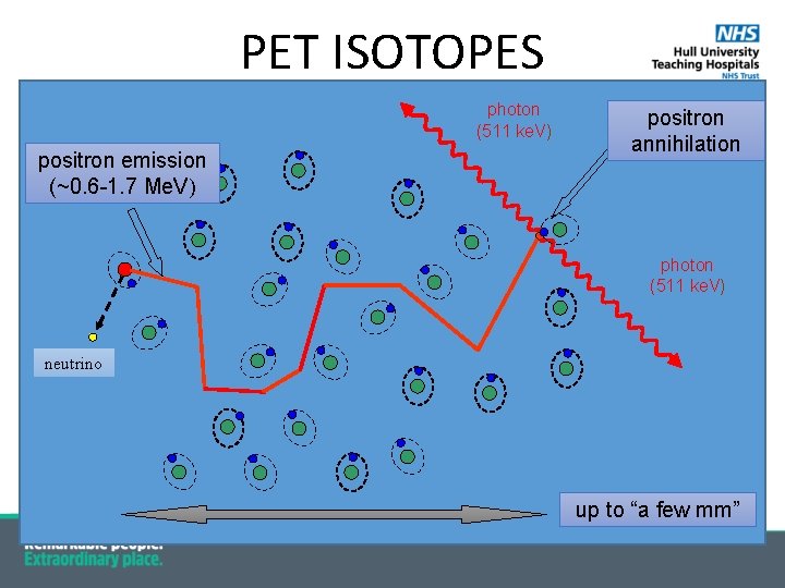 PET ISOTOPES photon (511 ke. V) positron emission (~0. 6 -1. 7 Me. V)