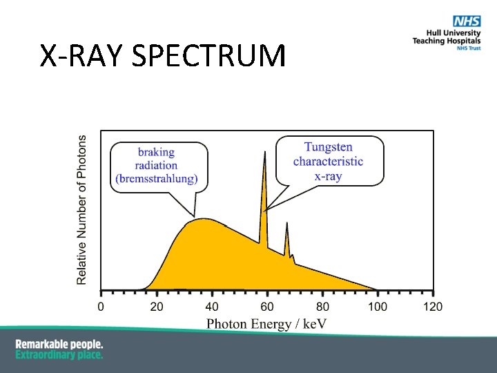 X-RAY SPECTRUM 