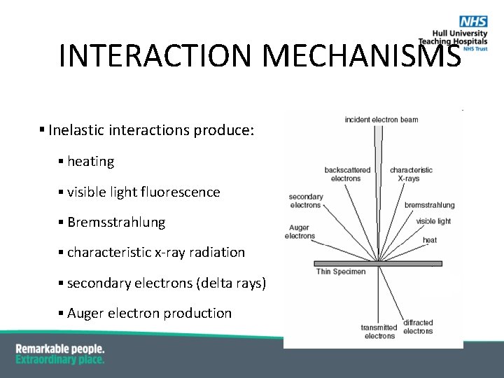 INTERACTION MECHANISMS § Inelastic interactions produce: § heating § visible light fluorescence § Bremsstrahlung