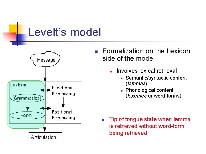 Levelt’s model n Formalization on the Lexicon side of the model n Involves lexical