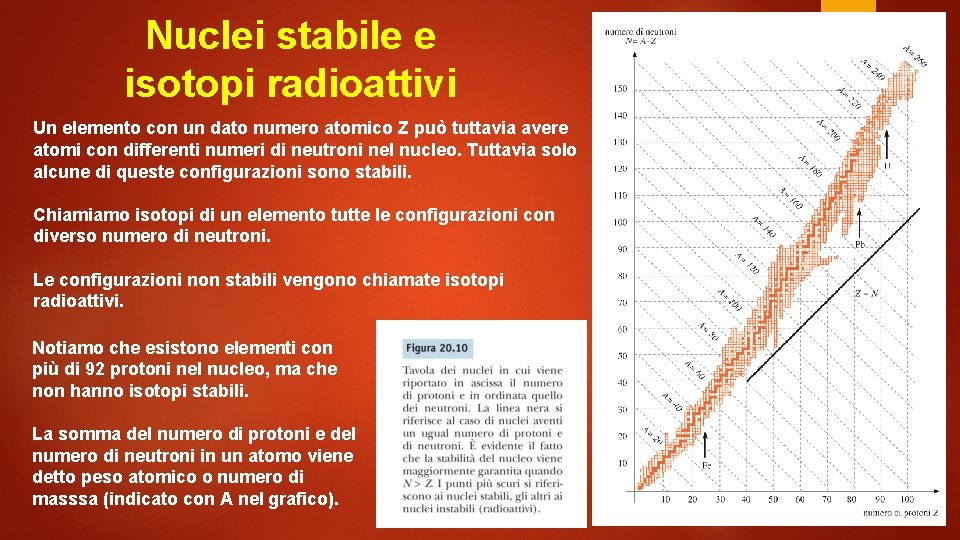 Nuclei stabile e isotopi radioattivi Un elemento con un dato numero atomico Z può