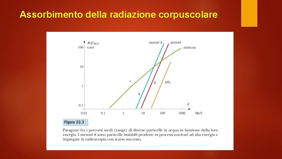 Assorbimento della radiazione corpuscolare 