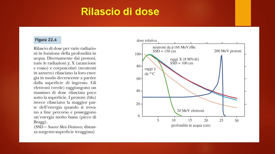 Rilascio di dose 