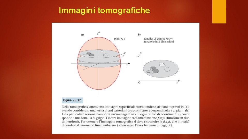 Immagini tomografiche 