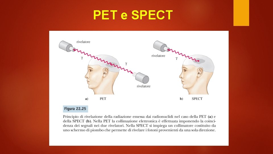 PET e SPECT 
