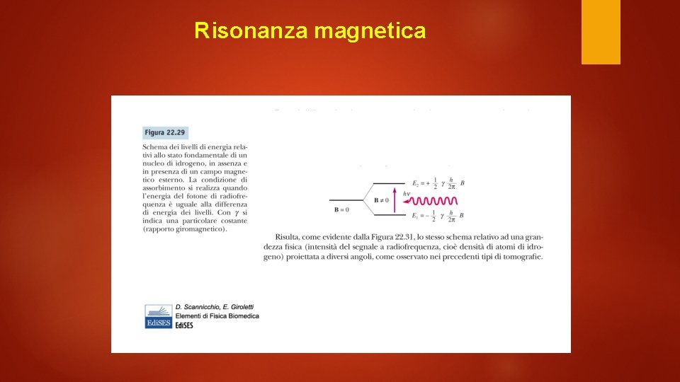 Risonanza magnetica 