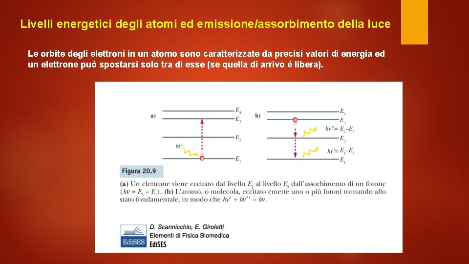 Livelli energetici degli atomi ed emissione/assorbimento della luce Le orbite degli elettroni in un